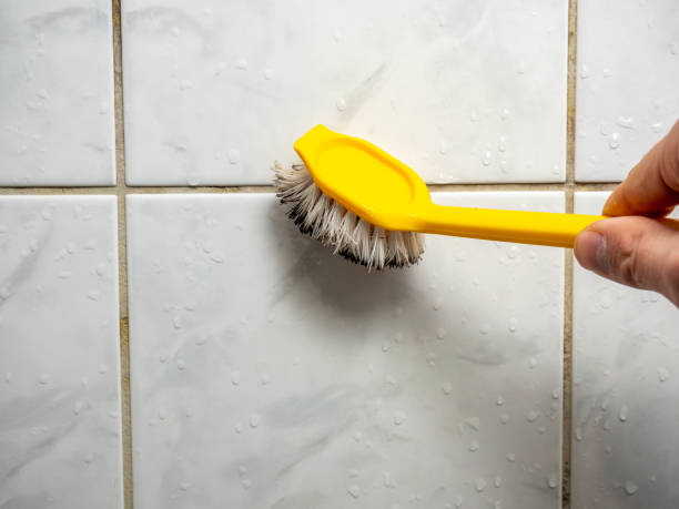 Best Mold Removal Specialists  in Osage Beach, MO